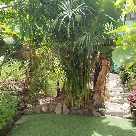 Appartement Happy Garachico (Tenerife)