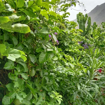 Διαμέρισμα Happy *