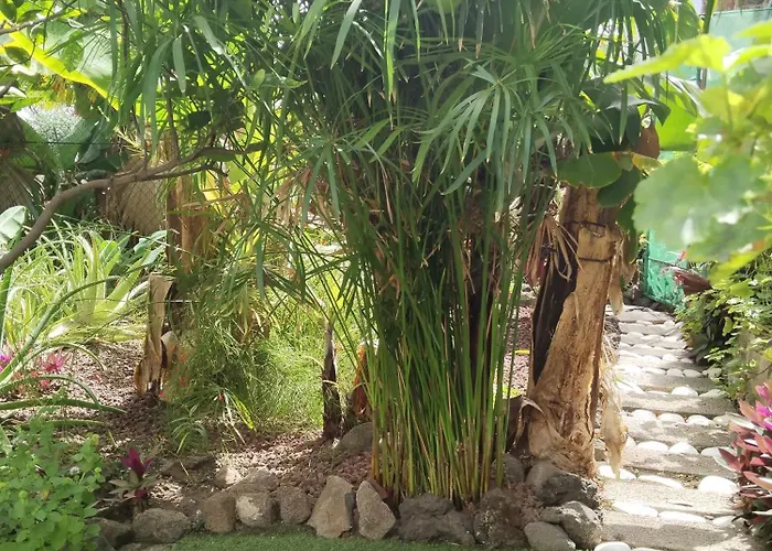 Apartmán Happy Garachico (Tenerife)