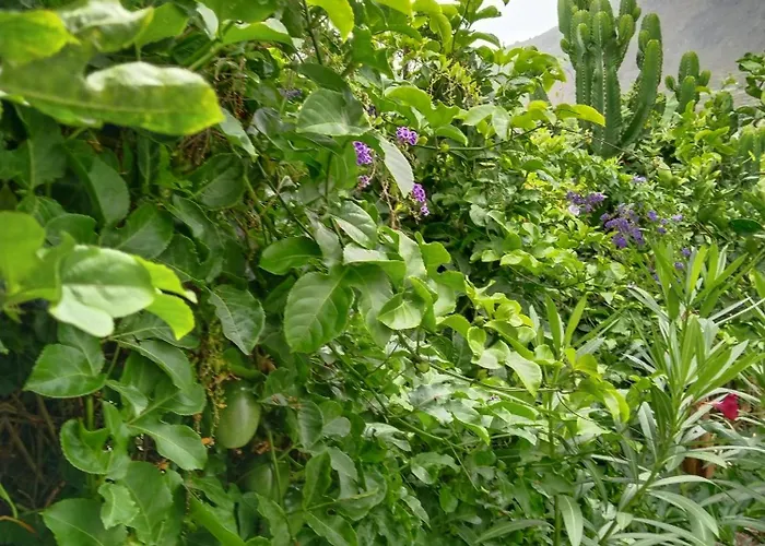 Апартаменты Happy *